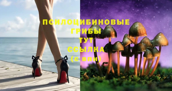 стафф Кинешма