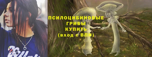 стафф Кинешма