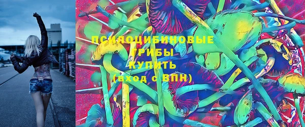 стафф Кинешма