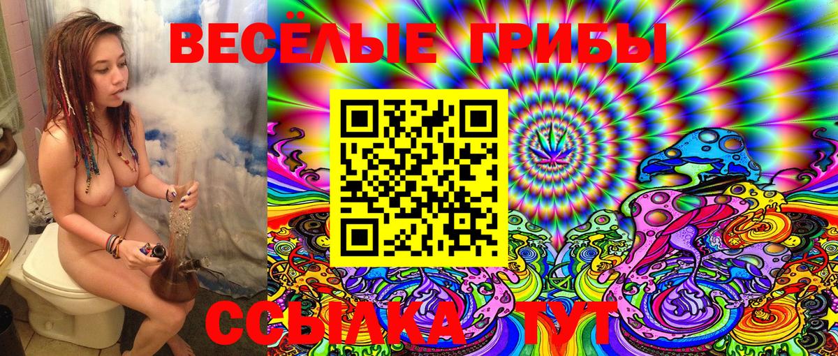 Псилоцибиновые грибы Cubensis  Благовещенск  как найти наркотики  Галлюциногенные грибы Magic Shrooms 