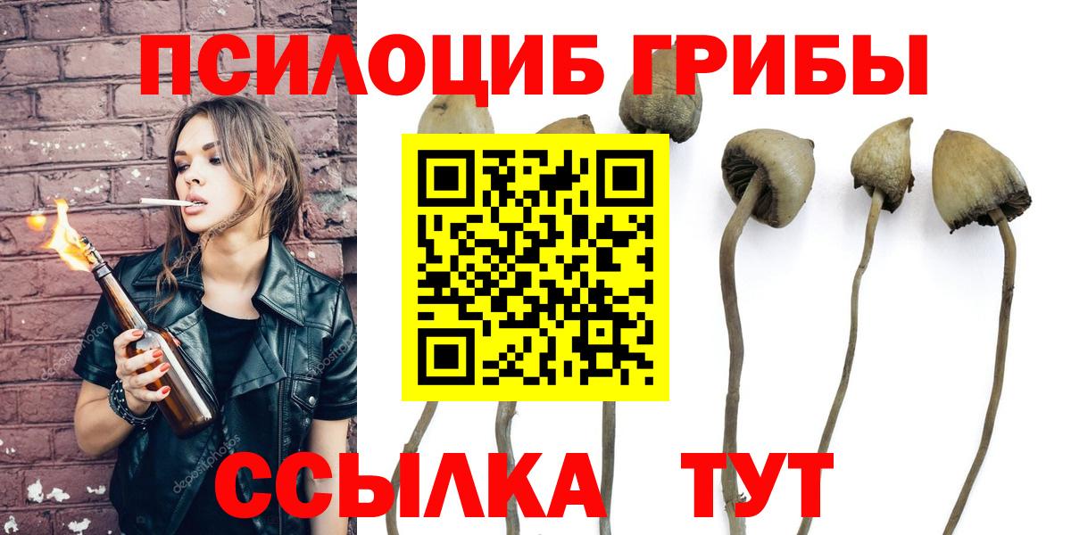Галлюциногенные грибы Magic Shrooms Благовещенск